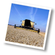 Grainchain Images